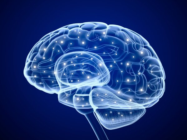 Brain mapping representation